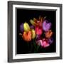 tulips-Magda Indigo-Framed Photographic Print