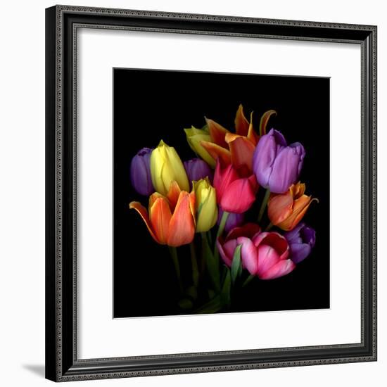 tulips-Magda Indigo-Framed Photographic Print