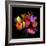 tulips-Magda Indigo-Framed Photographic Print