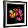 tulips-Magda Indigo-Framed Photographic Print