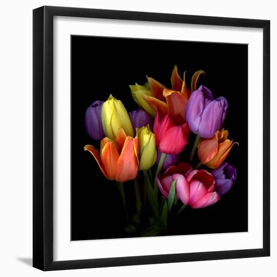 tulips-Magda Indigo-Framed Photographic Print