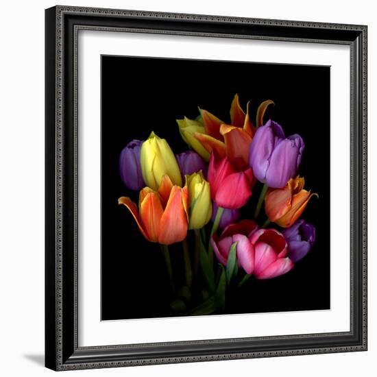 tulips-Magda Indigo-Framed Photographic Print