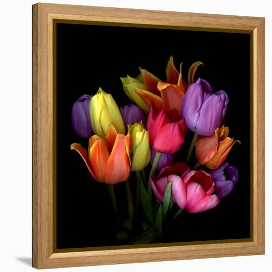 tulips-Magda Indigo-Framed Premier Image Canvas