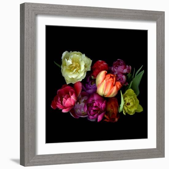 tulips-Magda Indigo-Framed Photographic Print