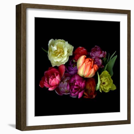 tulips-Magda Indigo-Framed Photographic Print