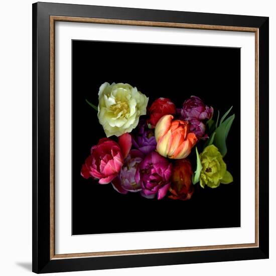 tulips-Magda Indigo-Framed Photographic Print