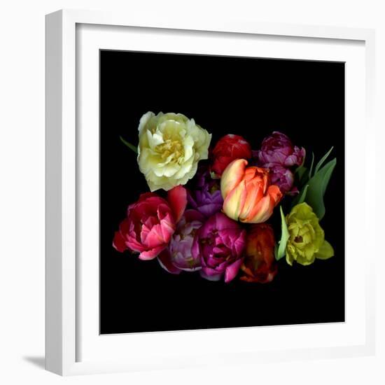 tulips-Magda Indigo-Framed Photographic Print