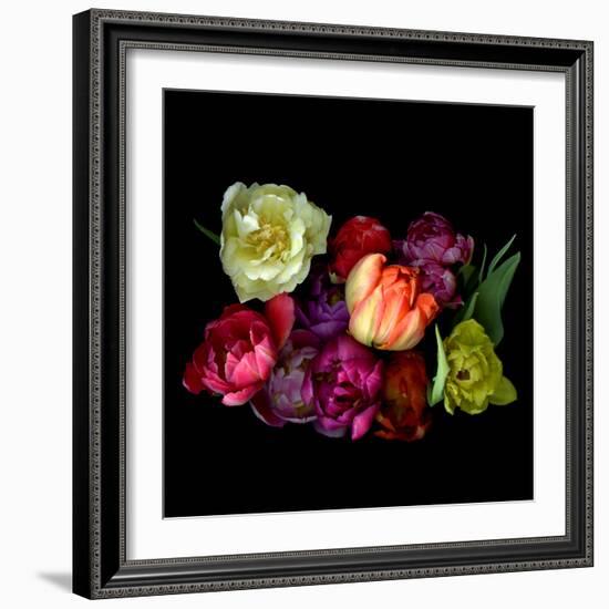 tulips-Magda Indigo-Framed Photographic Print