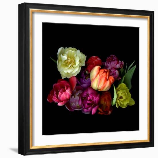 tulips-Magda Indigo-Framed Photographic Print