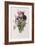 Tulips-Pierre-Joseph Redouté-Framed Giclee Print