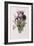 Tulips-Pierre-Joseph Redouté-Framed Giclee Print