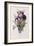 Tulips-Pierre-Joseph Redouté-Framed Giclee Print