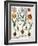 Tulips-null-Framed Giclee Print