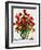 Tulips-Christopher Ryland-Framed Giclee Print