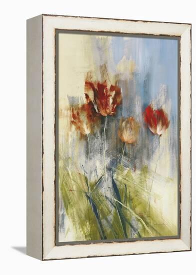 Tulips-Simon Addyman-Framed Stretched Canvas