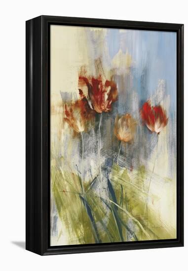 Tulips-Simon Addyman-Framed Stretched Canvas