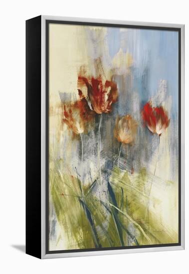 Tulips-Simon Addyman-Framed Stretched Canvas