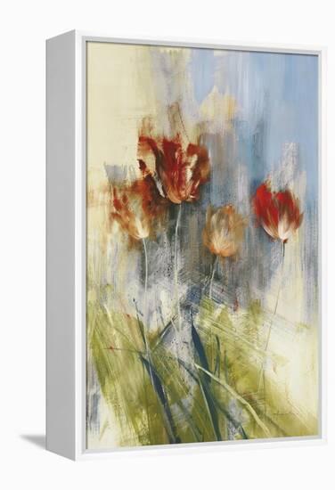 Tulips-Simon Addyman-Framed Stretched Canvas