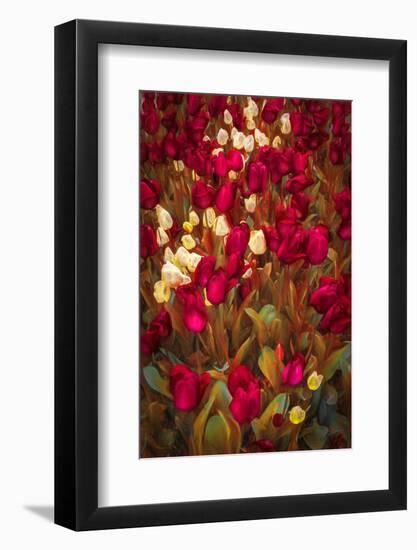 Tulips-Marco Carmassi-Framed Photographic Print