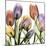 Tulipscape 2-Albert Koetsier-Mounted Photographic Print