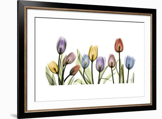 Tulipscape Portrait-Albert Koetsier-Framed Premium Giclee Print