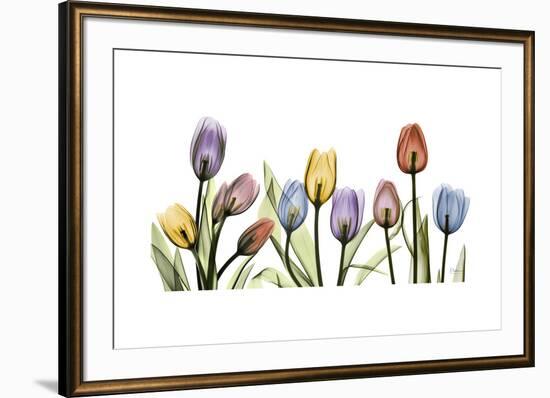 Tulipscape Portrait-Albert Koetsier-Framed Premium Giclee Print