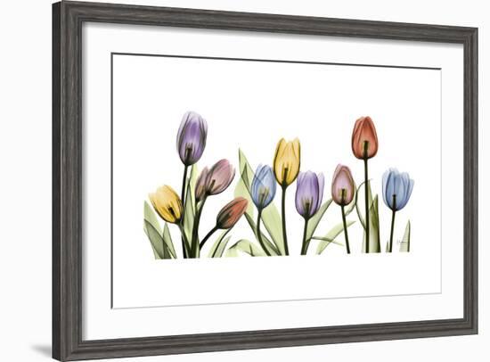 Tulipscape Portrait-Albert Koetsier-Framed Premium Giclee Print