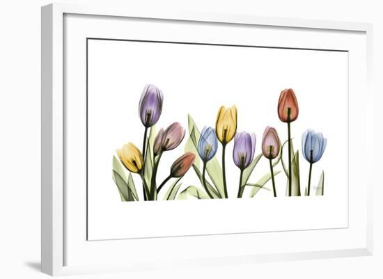 Tulipscape Portrait-Albert Koetsier-Framed Premium Giclee Print