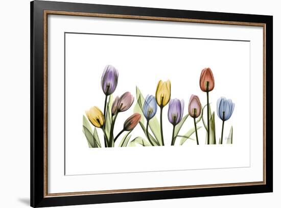 Tulipscape Portrait-Albert Koetsier-Framed Premium Giclee Print