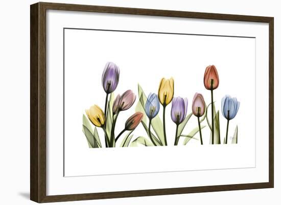 Tulipscape Portrait-Albert Koetsier-Framed Premium Giclee Print