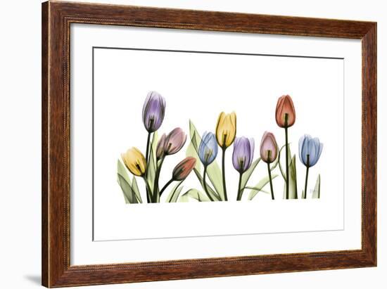 Tulipscape Portrait-Albert Koetsier-Framed Premium Giclee Print