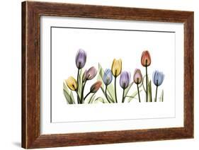 Tulipscape Portrait-Albert Koetsier-Framed Premium Giclee Print