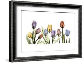 Tulipscape Portrait-Albert Koetsier-Framed Premium Giclee Print