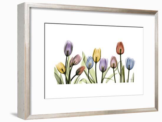 Tulipscape Portrait-Albert Koetsier-Framed Premium Giclee Print