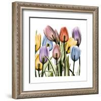 Tulipscape-Albert Koetsier-Framed Art Print