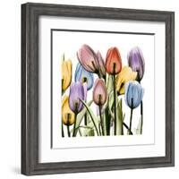 Tulipscape-Albert Koetsier-Framed Art Print
