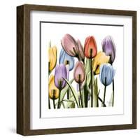 Tulipscape-Albert Koetsier-Framed Art Print