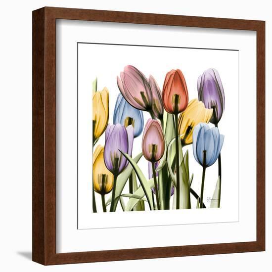 Tulipscape-Albert Koetsier-Framed Art Print