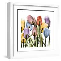 Tulipscape-Albert Koetsier-Framed Art Print