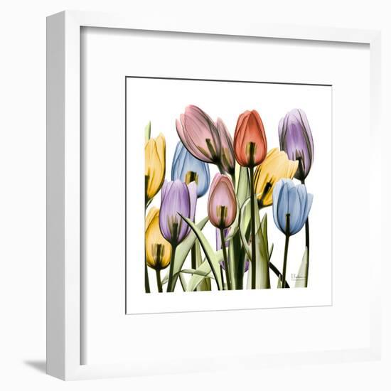 Tulipscape-Albert Koetsier-Framed Art Print