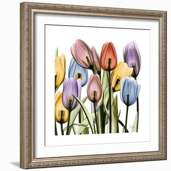 Tulipscape-Albert Koetsier-Framed Art Print