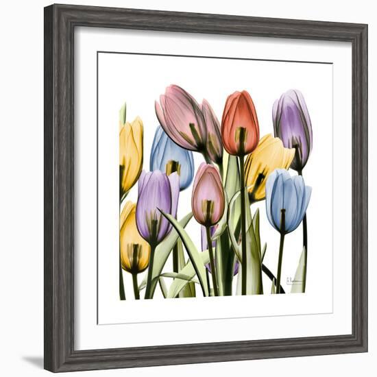 Tulipscape-Albert Koetsier-Framed Art Print