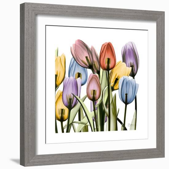 Tulipscape-Albert Koetsier-Framed Art Print