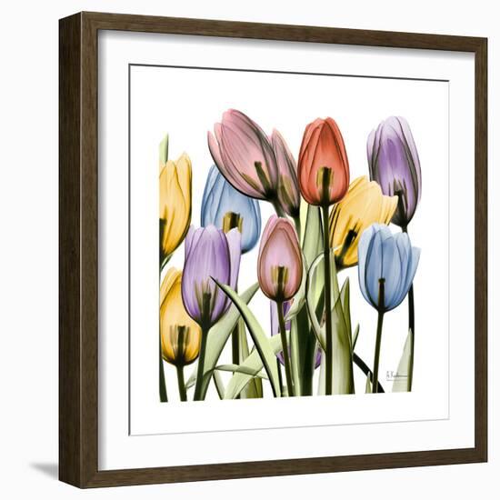 Tulipscape-Albert Koetsier-Framed Art Print