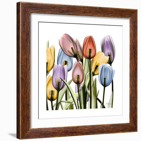 Tulipscape-Albert Koetsier-Framed Art Print