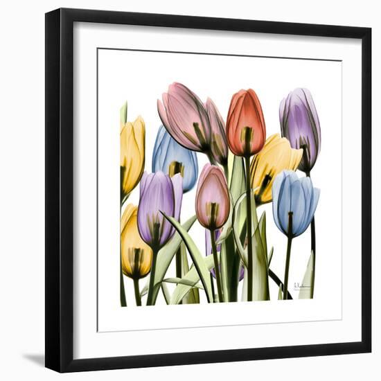 Tulipscape-Albert Koetsier-Framed Art Print