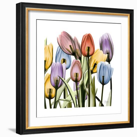 Tulipscape-Albert Koetsier-Framed Art Print