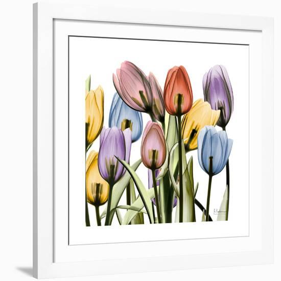 Tulipscape-Albert Koetsier-Framed Art Print