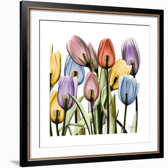 Tulipscape-Albert Koetsier-Framed Art Print