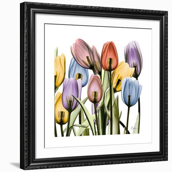 Tulipscape-Albert Koetsier-Framed Art Print